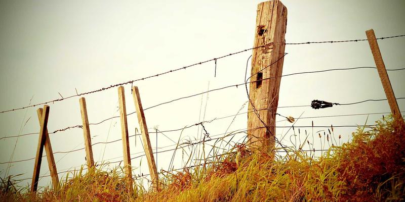 学习Elasticsearch的最短路径是什么